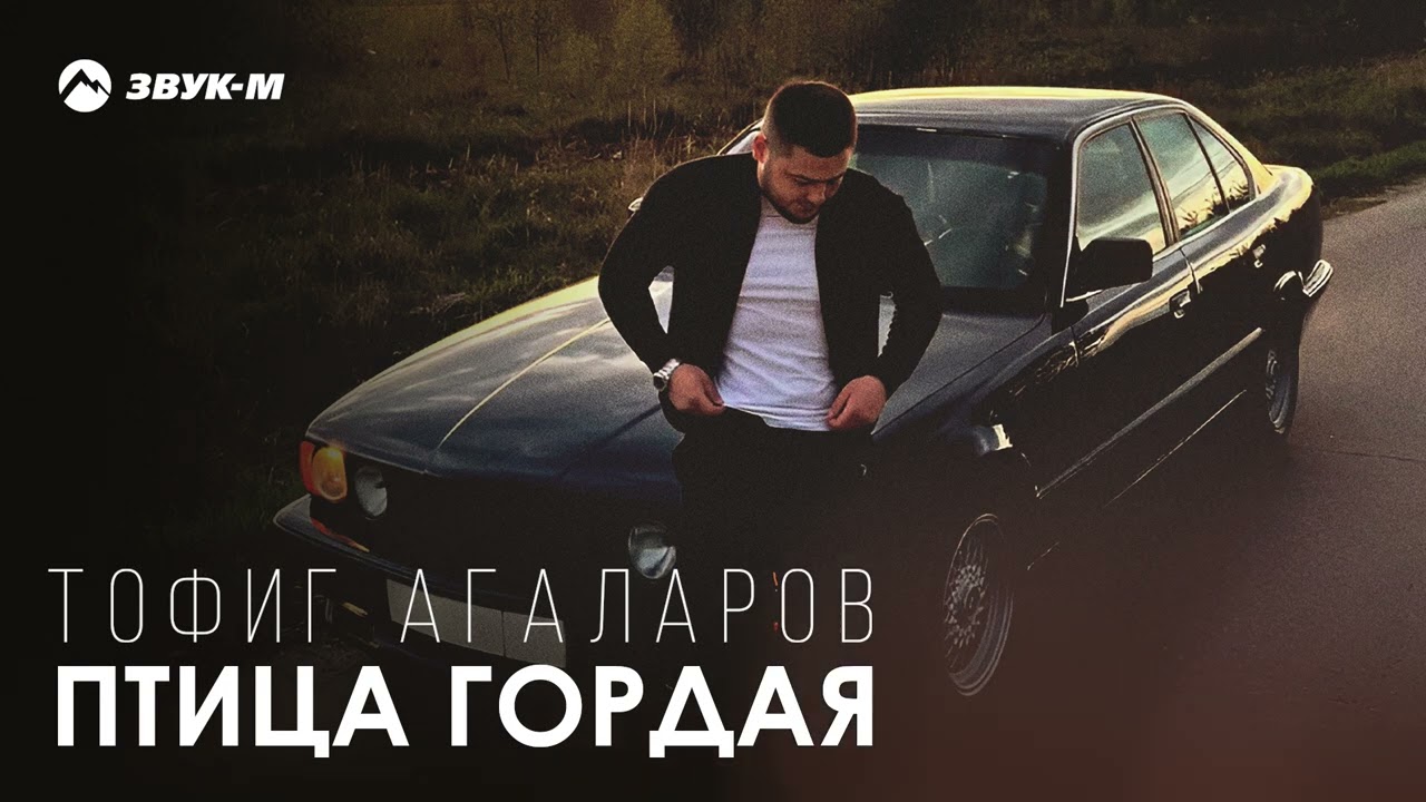 Тофиг Агаларов - Птица гордая | Премьера трека 2025
