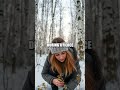 Survival Strategies in the Arctic Birch Forest