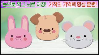 눈으로 찍고 뇌로 저장하세요! 기적의 기억력 향상 훈련! screenshot 3
