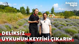 Bir Fincan Lavanta Çayı Vücutta Neler Yapıyor? |  Feridun Kunak'la Evlerinize Sağlık