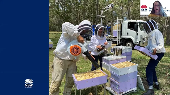 Elizabeth Frost, NSW DPI - DPI Plan Bee research u...