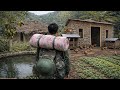 FULL VIDEO The Journey Of A Veteran Returning To The Forest To Build A Self Sufficient Farm
