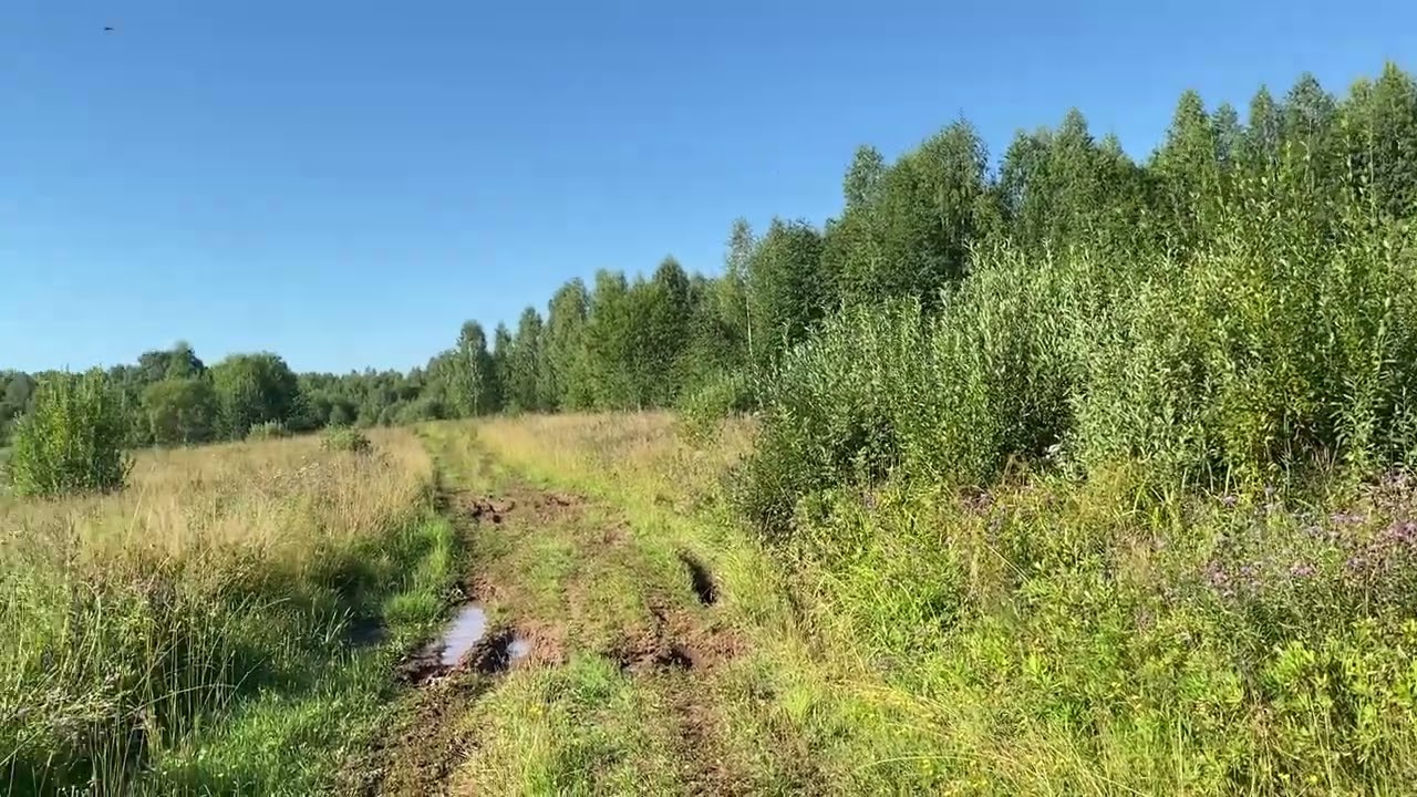 Шабалинский район