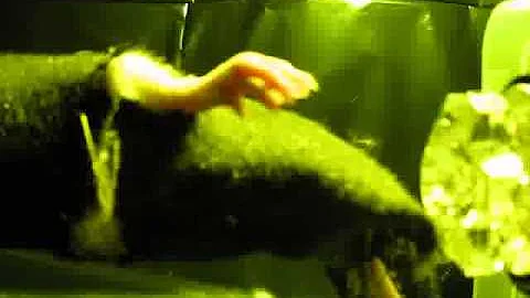 Light-evoked Somatosensory Perception of Transgenic Rats That Express Channelrhodopsin-2 in DRG Red