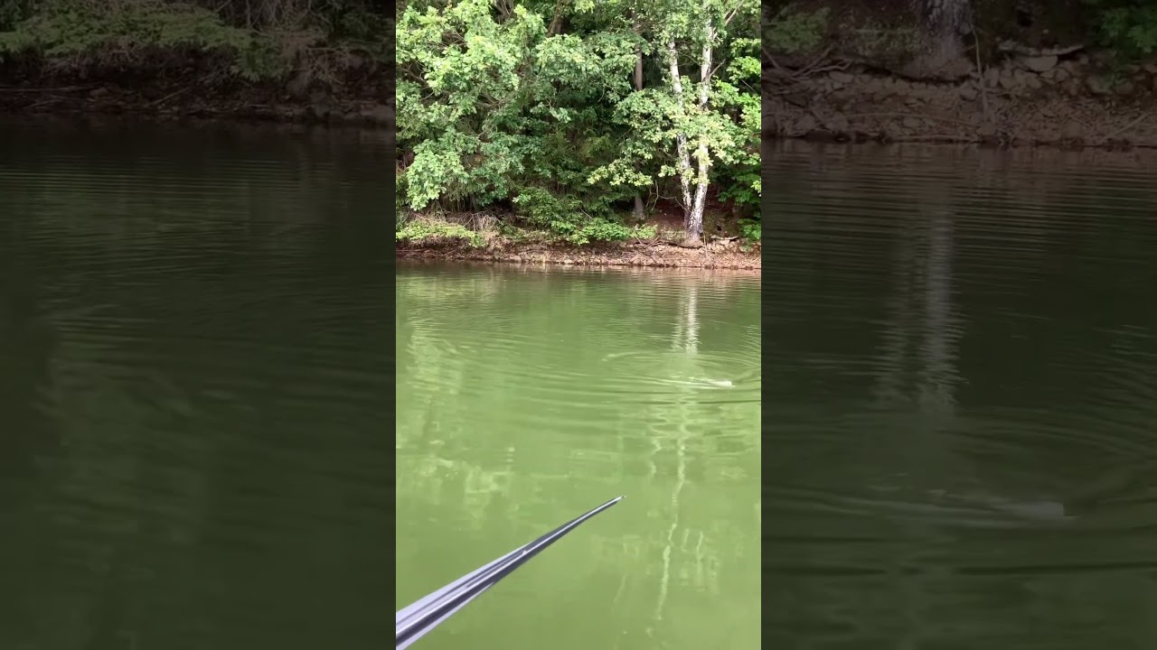 Thrilling Catch of the Day 🎣🐟 