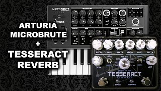 Arturia MICROBRUTE + Tesseract Reverb