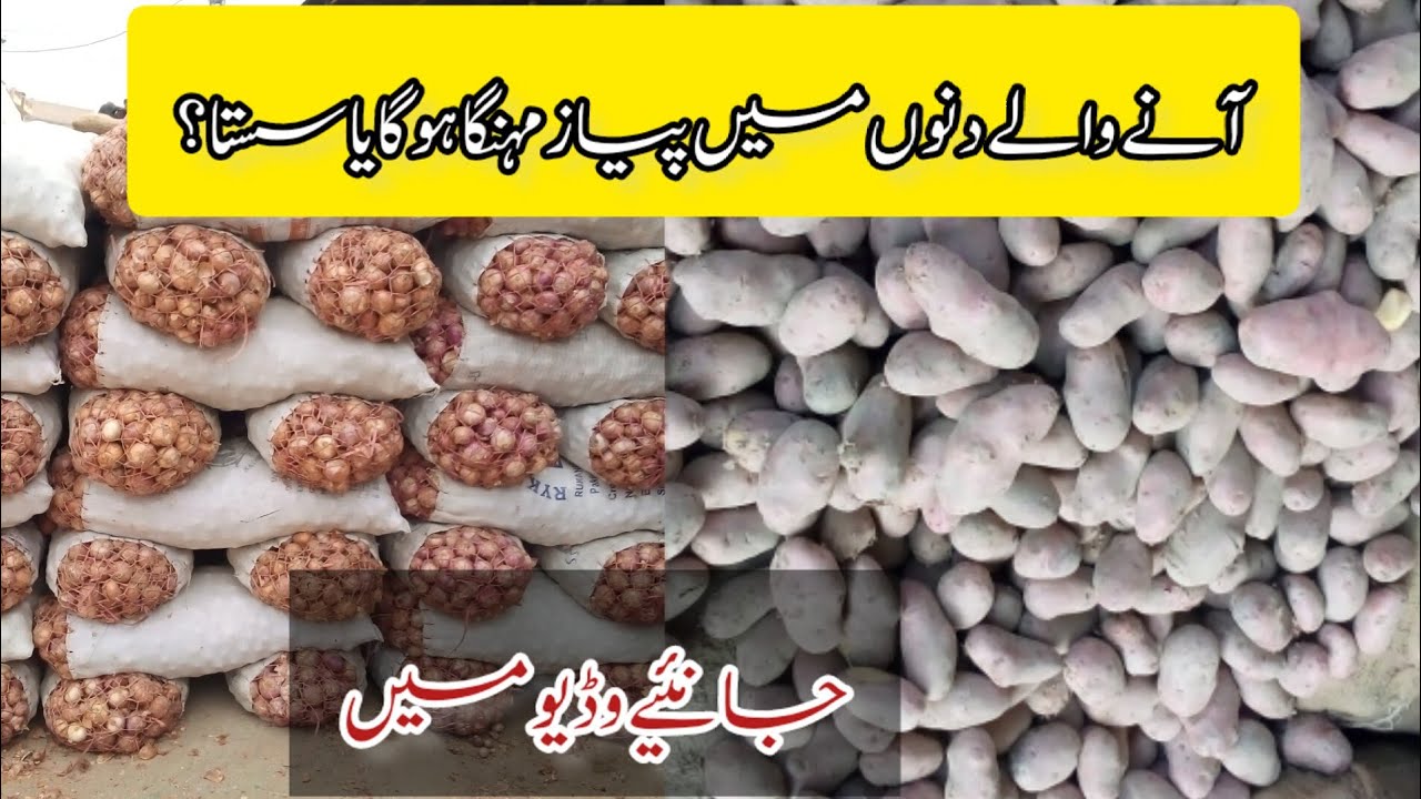 Onion Rate In Pakistan Today l Potato Price Today l ONION RINGS l