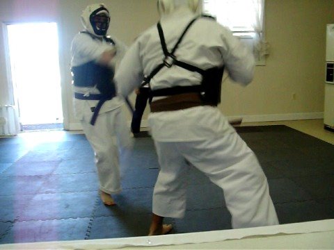 Goshukan-Ryu Kumite for brown belt test: pt 1