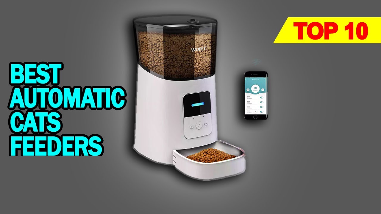 Top Rated Automatic Cats Feeder on Amazon YouTube