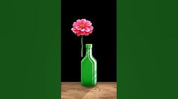 This filter is impossible!!!!! #snapchat #filters #skills #challenge #impossible #flowers #bottle