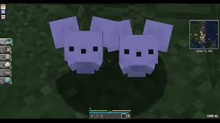 Cobblemon Server W/ Weekendtech, Kipsicle24, thegwyllion #2