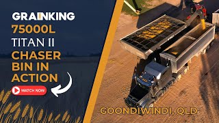 75,000L Grainking Nyrex Chaser Bin Goondiwindi, Qld A Flotation Dream