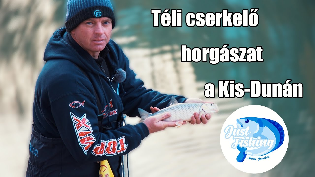 Téli cserkelő horgászat a Kis-Dunán