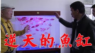 這魚缸逆天了能過濾沉澱95%以上的糞便顆粒發明人要火【發明迷】