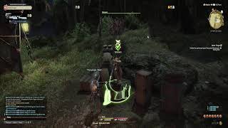 Final Fantasy Online