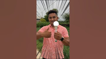 Making Deshi Torch #shorts #devkeexperiment