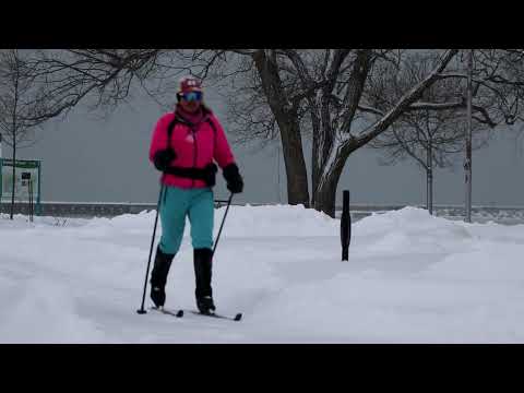 January 15, 2026 Dog Sled Cross Country Skiing Winter in Cobourg
