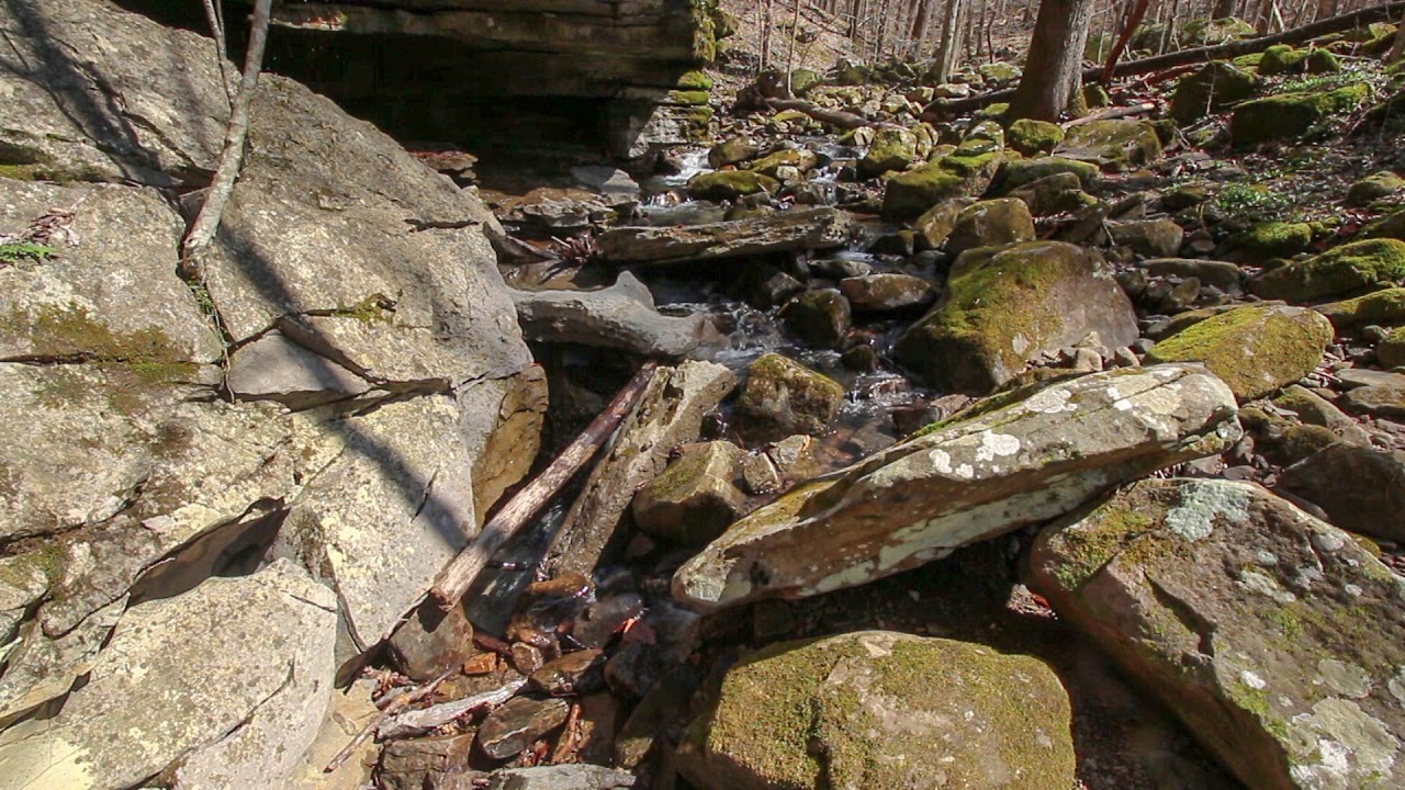 Dry Creek insurgence, Lost Creek SNA, White County, Tennessee YouTube