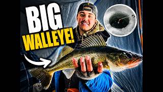 We Found GIANT Walleye & Slab Crappie on the Fox Chain