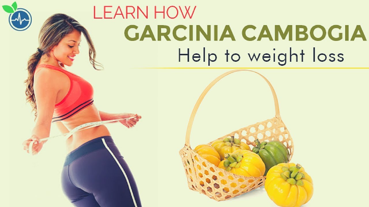 Garcinia a current affair Garcinia a current affair