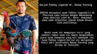 AYAM PAKHOY DURIAN MR MANOOP CERITA SEJARAH