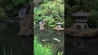 japanese garden الحديقة اليابانية