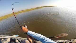 Schooling Redfish, Catching a Limit  #DoubleHookup