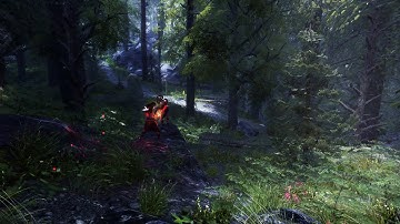 Skyrim SE Modding 2022 - Gameplay Tree Check -  Lydia vs Serana Fight