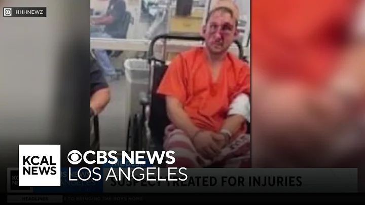 Infamous Southern California Tesla road rage driver assaulted by inmates in Hawaii