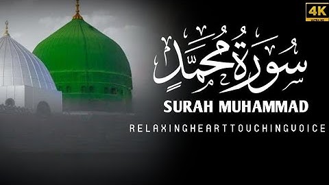 SURAH MUHAMMAD سورة محمد | Relaxing heart touching voice | sleeping Quran07