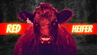 Red heifer And Arrival Of Dajjal | The Truth | IslamThroughAges