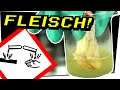 PIRANHASÄURE LÖST FLEISCH AUF! Knabberwasser vs Chickenwing - Gefährliche Experimente #124