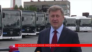 картинка: Полсотни автобусов НефАЗ с разной облицовкой прибыли в Новосибирск