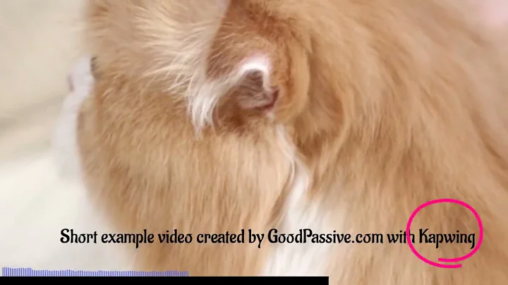 Example Video Made With Kapwing - An Easy & Powerful Online Video Editor Tools Creator