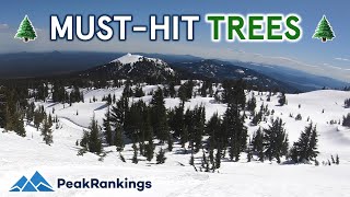 Most UNREAL Resorts for Tree Skiing