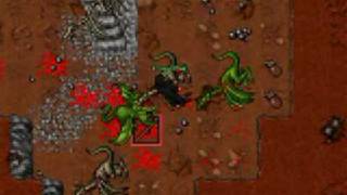 tibia knight lv 20 vs dragon