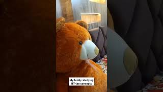 My teddy studying IIT-jee concepts #shorts  #funny  #trending  #cute  #trendingshorts  #baby