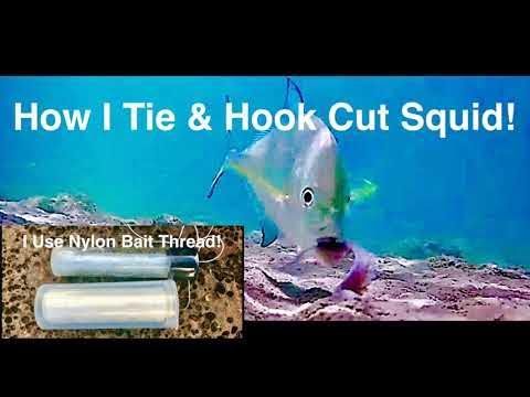 How I Tie & Hook Cut Squid For Bait Using Elastic Bait Thread! 