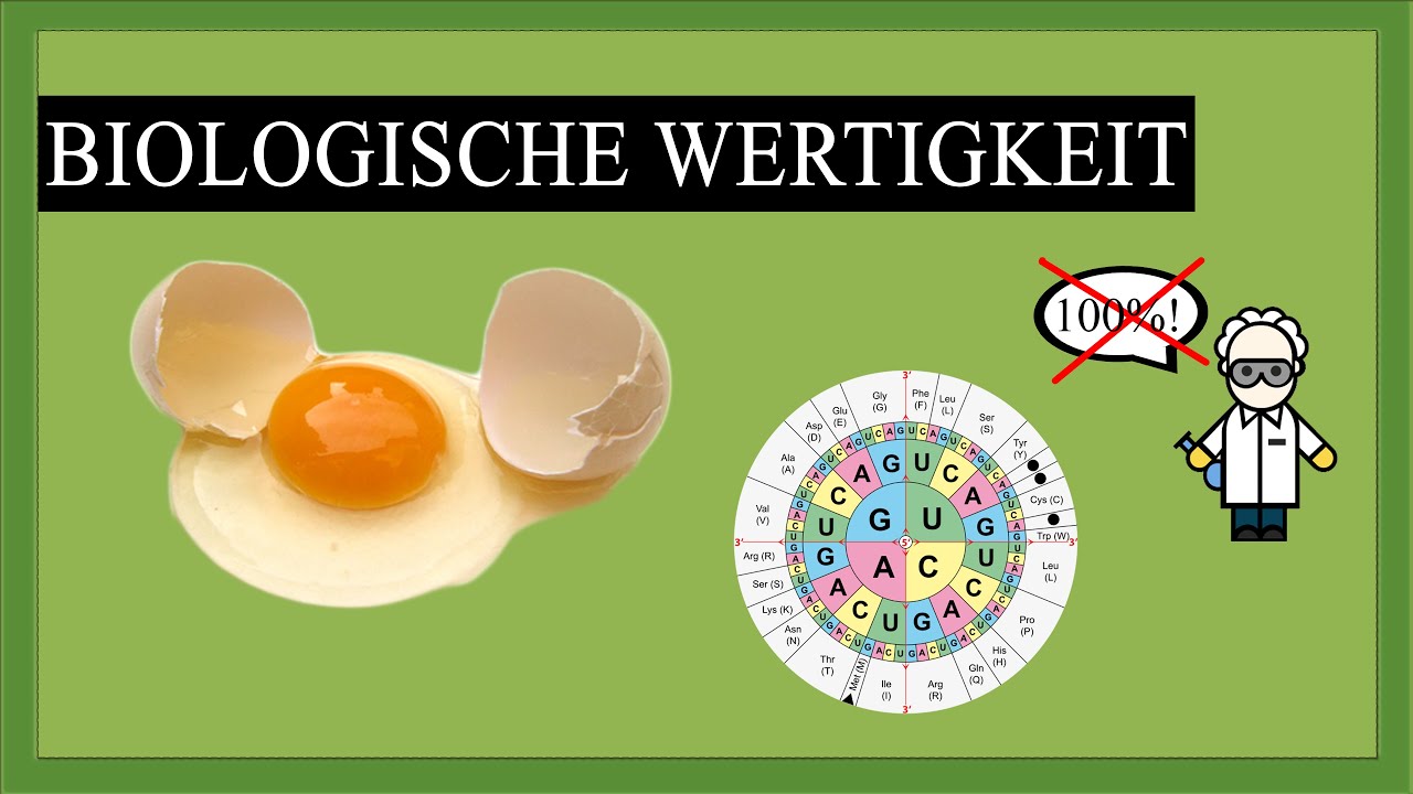 Biologische Wertigkeit - Warum die Proteinmenge nicht ausschlaggebend ...