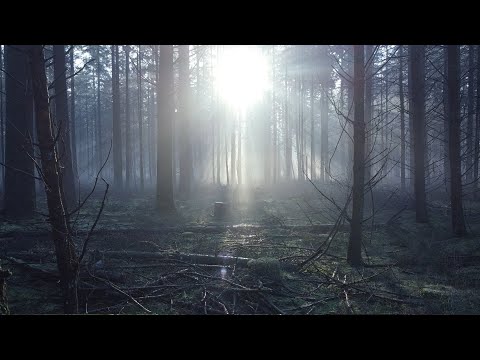 Autumn's Grief - Dead by the Dawn (Official Lyrics Video)