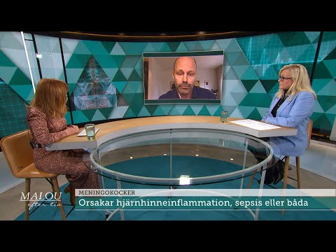 Christines son dog i ovanliga sjukdomen meningokocker: ”Tragiskt” - Malou Efter tio (TV4)