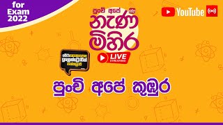 Nanamihira Live Stream | 5 වසර ශිෂ්‍යත්ව - නැණ මිහිර | 22-07-2022 | නැණ මිහිර