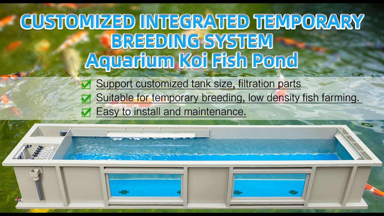 Customized integrated ornamental koi fish pond