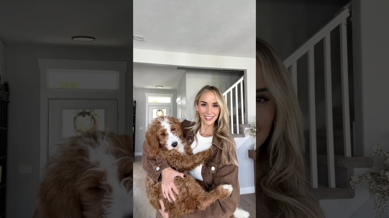 We’ve been keeping a little secret… welcome to the family, Daisy 🌼 #dogs