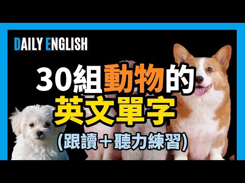 【初級英語】三十組動物相關的英文 | 背單字 | 每日一句學英文
