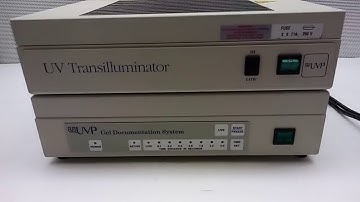 Endress Jena UVP M-20 UV Transilluminator w/ Gel Documentation [BOSTONIND] - 12511