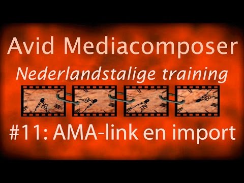 Avid Mediacomposer Nederlandstalige training  #11 linken en import
