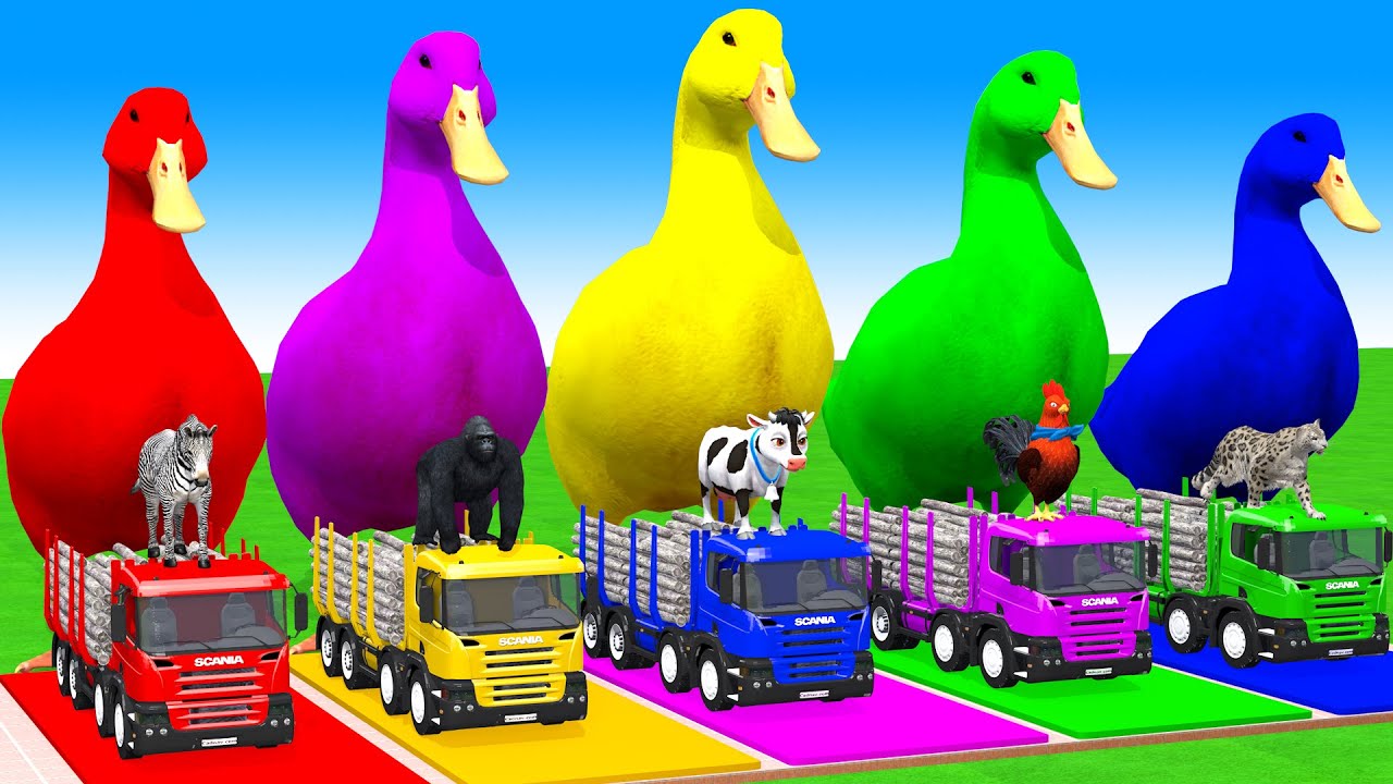 Long Slide Game With Cow Elephant Gorilla Hippopotamus Tiger 3d Animal Game Funny 3d Animals