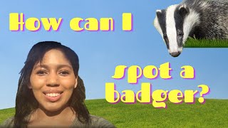 Lockdown Walks - How can I spot a badger?