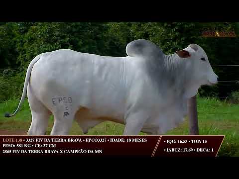 LOTE 138   EPCO 3327